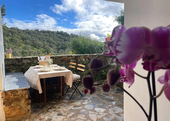 Alojamiento La Casa Del Pintor