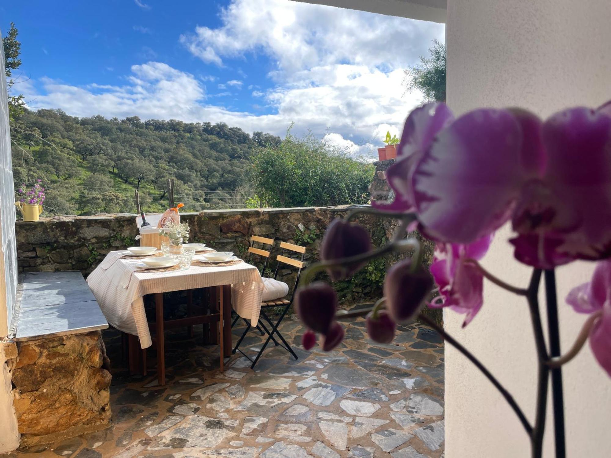 La Casa Del Pintor Holiday home