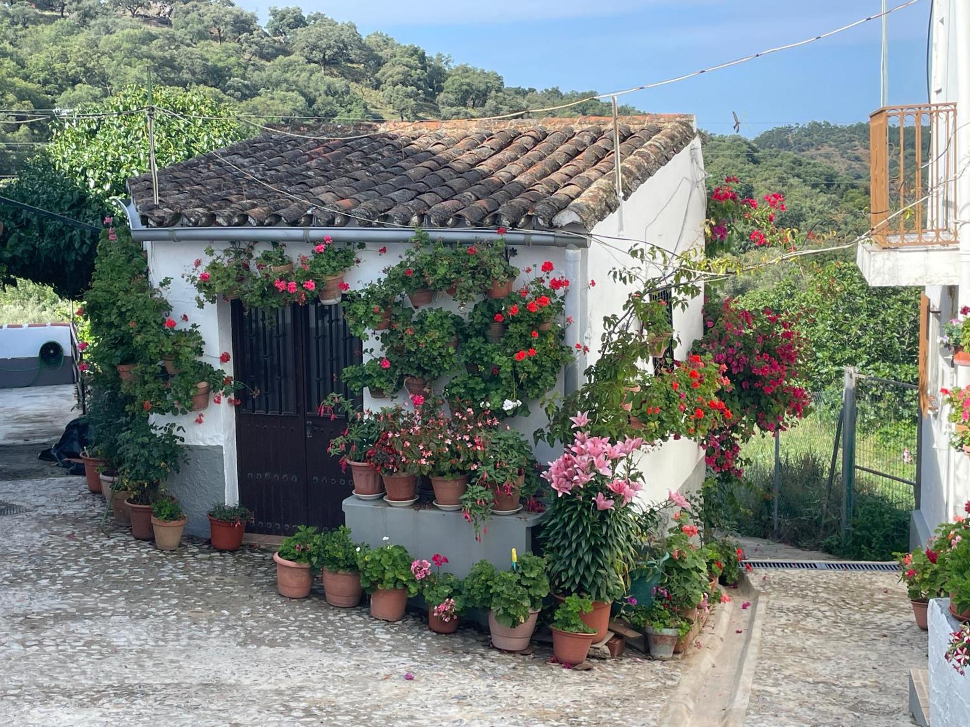 La Casa Del Pintor Holiday home